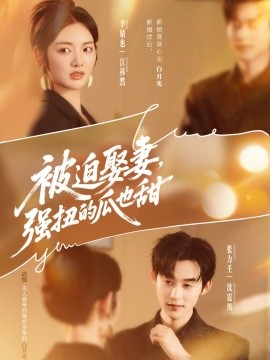 被迫娶妻，强扭的瓜也甜(全集)